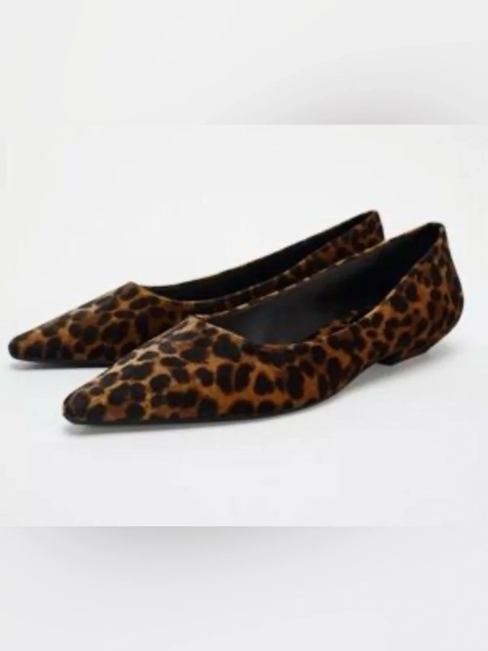 Pointed Toe Leopard-Print Women’s Flats - Picture 1 of 4